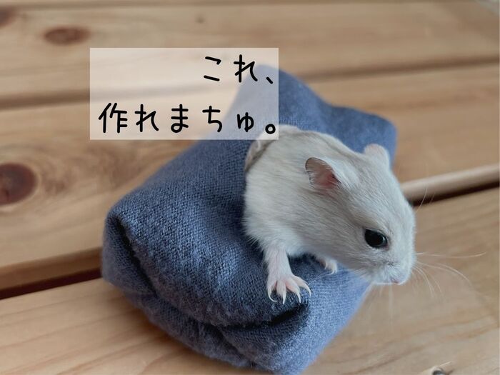ハムスターの巣穴、案外簡単に作れた!古着アップサイクルであったか♡