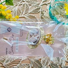 気軽に楽しめるカメオグッズ♪