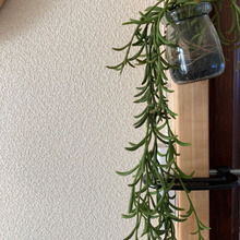 コンセント不足の苦肉の策は!