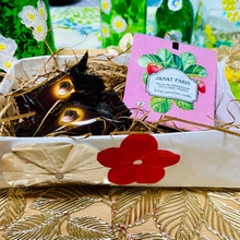 粋な包装紙でラッピングBOX!