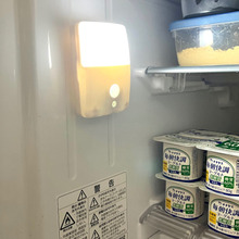 冷蔵庫内の暗さ330円で解決♪