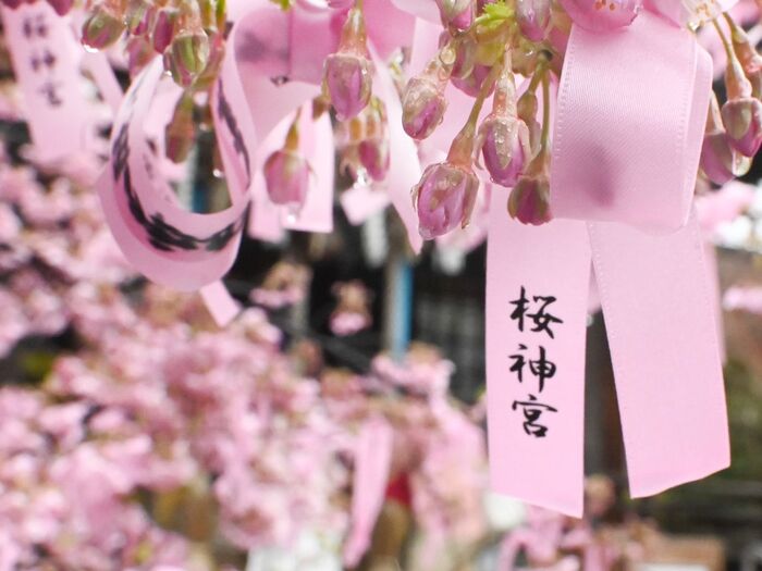 最近行った東京都内の神社3選