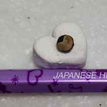 ハートモチーフの可愛い種♡風船葛の種を収穫する際に気をつけたい、道端の危険な雑草も紹介!