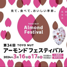 アーモンドフェスティバル、人生初40km走破!!