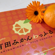 有田みかん入り!和歌山らしいクッキー♡形はわっふる♡