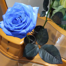 超話題の韓ドラ3選!「私の夫と結婚して」とは?→フレネミーが超怖い(友達のふりした敵)!!!