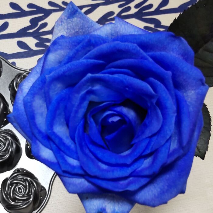 青い薔薇の花言葉は「夢叶う」という意味も含みます。