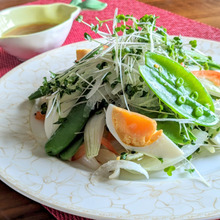 新玉ねぎをた〜っぷり!春のサラダ〜レモンドレッシングで〜