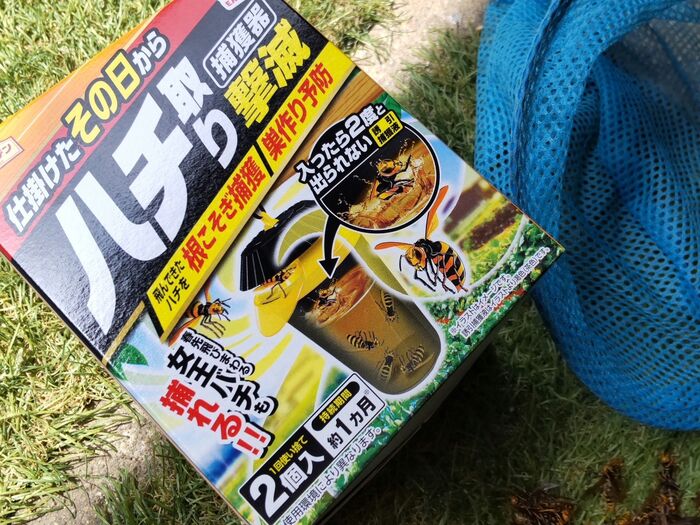 長い間、蜂に悩まされています。春の蜂とは?