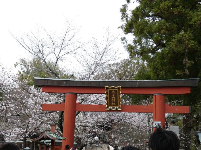 奈良には、海外からの観光客が沢山！！