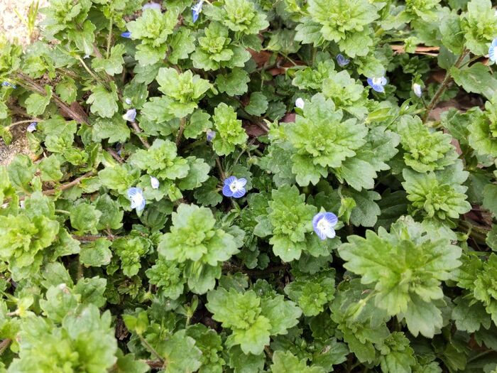 別名で呼んであげたいです。