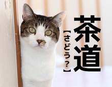 【茶道】は「さどう」と読まない!?もうひとつの読み方知ってますか?【日本人が知らない漢字クイズ】