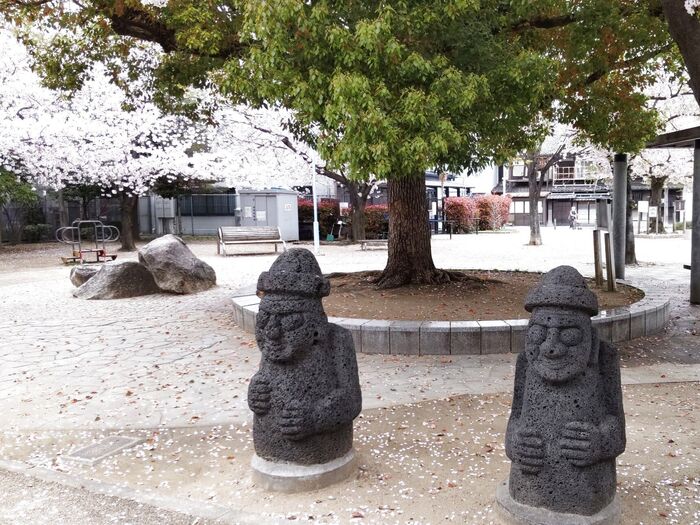 桜の季節ですね!