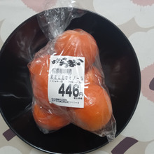 今日のFruit【セミノール(Seminole)】