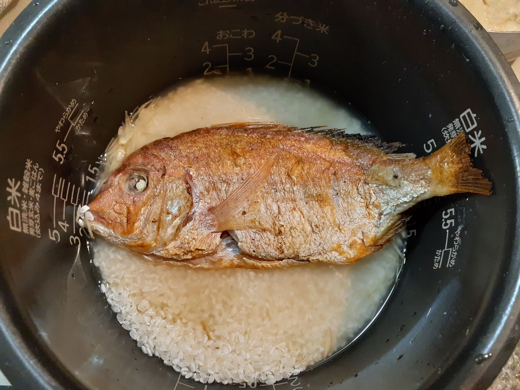 2、お米を研ぎ、炊飯器釜に入れ、2カップメモリより少し少なめの水を注ぐ→材料★を加えて混ぜる→焼いた鯛をのせて炊く