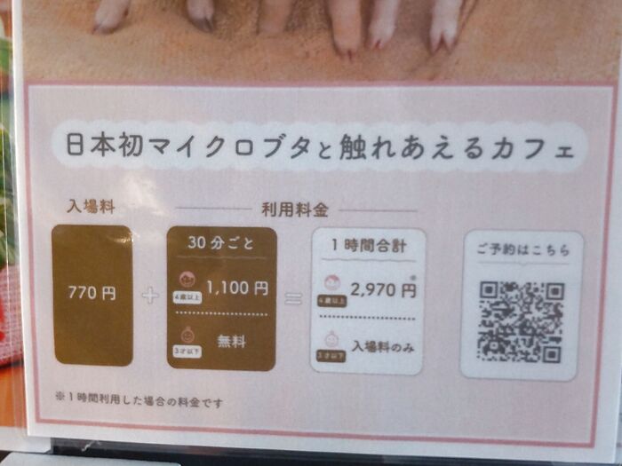 入場料770円に滞在時間がプラスされます。個室利用は別途要ります。