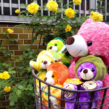 ご当地ベアって?旅の思い出&お土産にいかが?悶絶級の可愛さ!♪