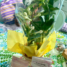 ポイント率の高い商品を買って、次回のお買い物でお得にゲット!