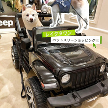 愛犬と一緒にショッピング!LakeTown OUTLETでお得にGETしたもの-2024春