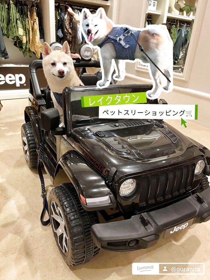 愛犬と一緒にショッピング!LakeTown OUTLETでお得にGETしたもの-2024春