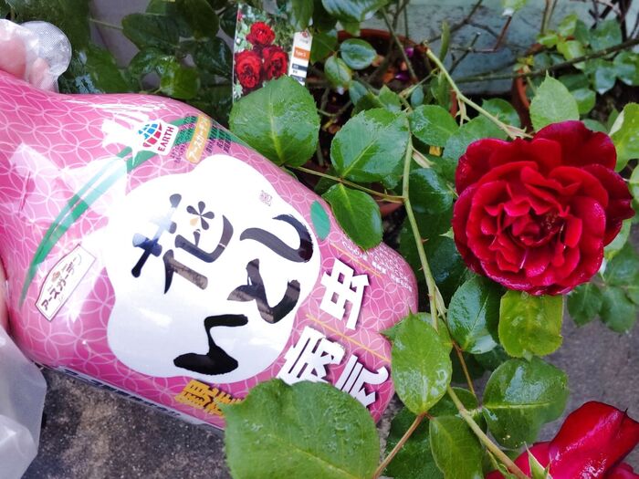 園芸の救世主!「カメムシ」も虫の息!花の厄介な虫・病気にこの1本!