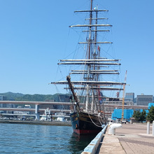 今日の第一突堤 着岸係留船舶 オランダの帆船「スタッド・アムステルダム」Stad Amsterdam