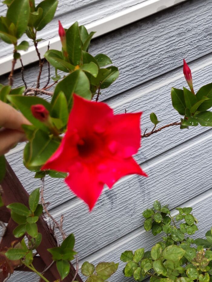 人気の理由は…