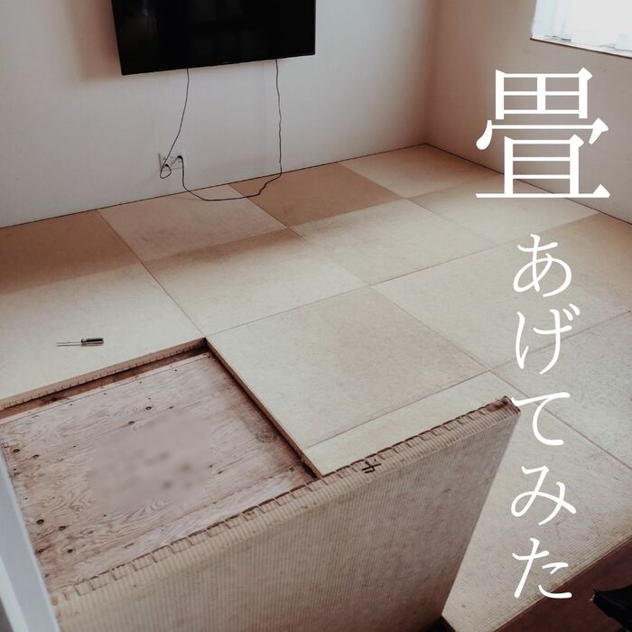 梅雨前に本気の大掃除!たたみを上げてみました。