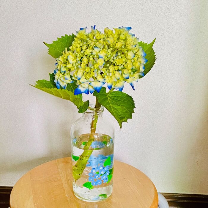 紫陽花を切り花で長く楽しむコツ!ここが肝心