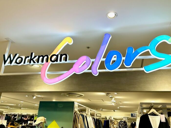 【ワークマンcolors】こんな機能、初めて見た♡着用したら怪しい人になったけど防御力すご!
