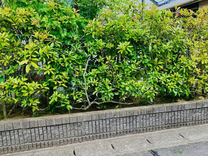 梅雨明け前に!やって良かったこと