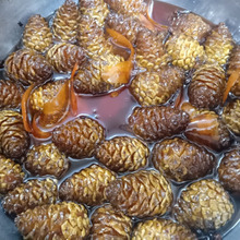 松ぼっくりシロップおさらい!!