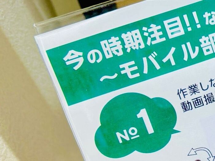 【キャンドゥ】お店オススメのアイテム「レジでドキドキ」「想定外の衝動買い」