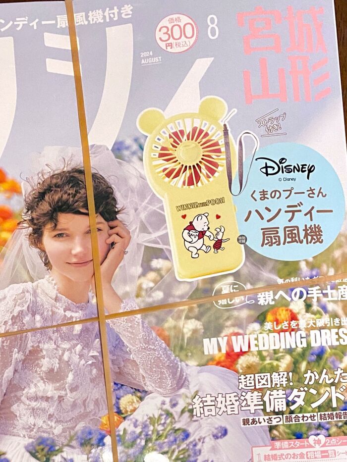 ズバリ!ハンディー扇風機付き目当てにゲット