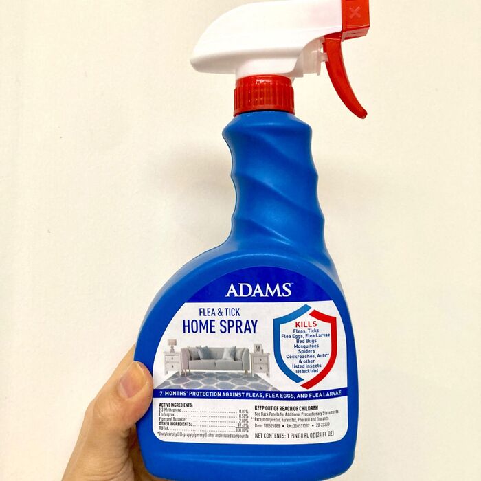 【対処その3】駆除スプレー散布