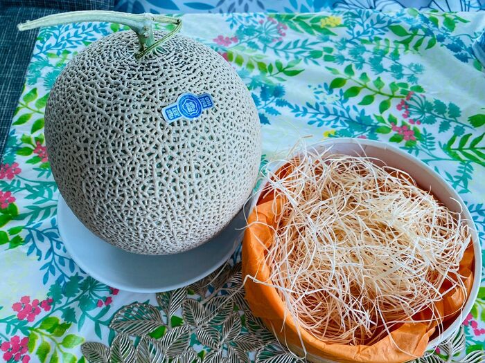 メロンなどの緩衝材「木毛」捨てちゃダメ