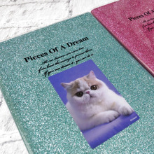 100円の高級感!キラキラノートで日常を彩ろう♡自由なカスタマイズで個性を楽しむ!