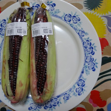 今年も登場!!目を奪われるcolor