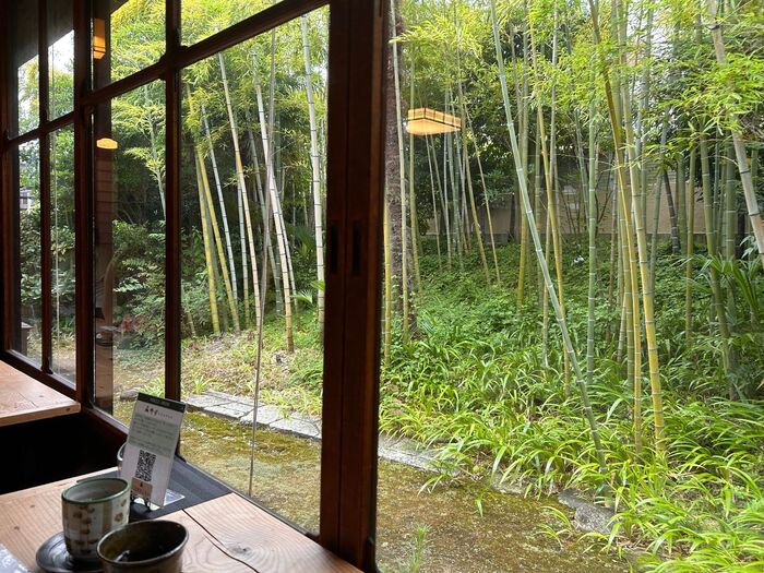 角度を変えて庭を見る