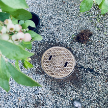 年に1度の再確認!雨水桝が詰まっていたらさあ大変