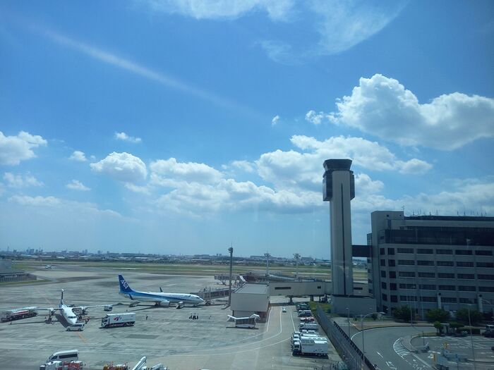 飛行機を見ながら水遊び!【大阪空港】帰りは551の蓬莱の豚まんを購入!