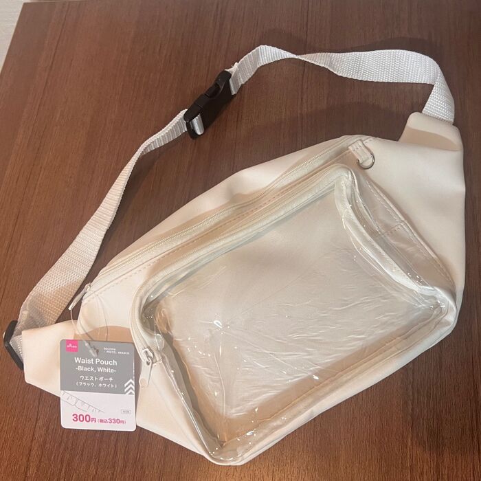330円で話題のバッグに挑戦!たしかに考えられてる!