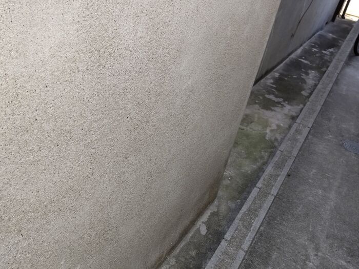 ここは、あっという間に這い伸びてきた「ヘクソカズラ」に埋め尽くされていた通路です