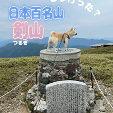 夏の山の思い出:イヌと一緒に気軽に登山!剣山(つるぎさん)をトレッキングしてきましたっ