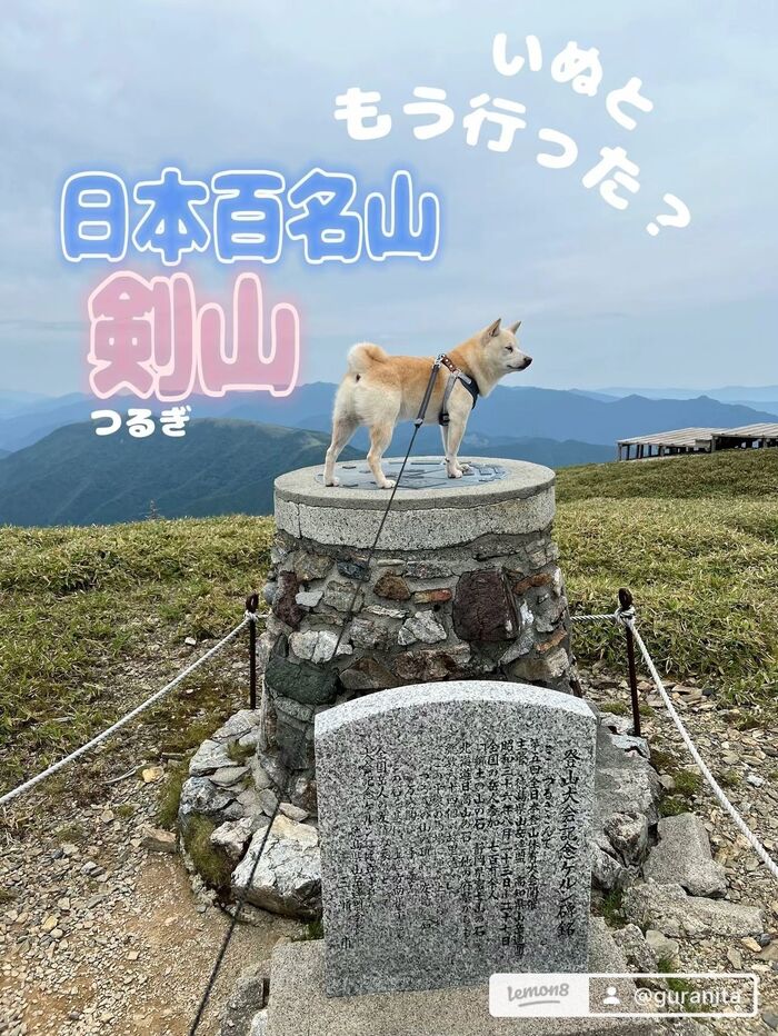夏の山の思い出:イヌと一緒に気軽に登山!剣山(つるぎさん)をトレッキングしてきましたっ