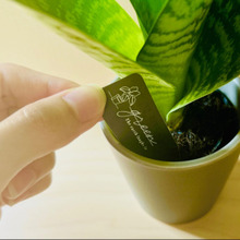 このコスパ、さすがだね!【3COINS】セットだから、そのまま置ける♪