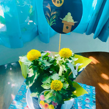 ポンポン菊で虫除け