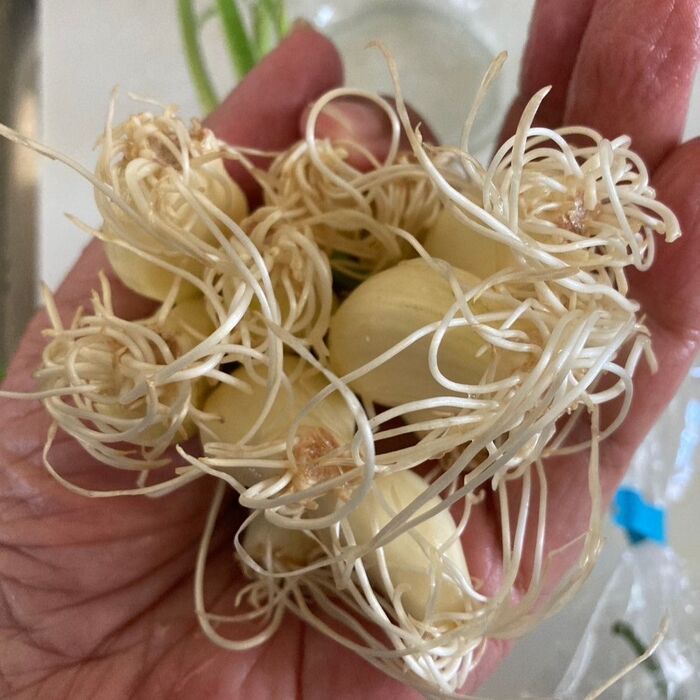 本当にすごく綺麗なのでまるまま使う事にしました!