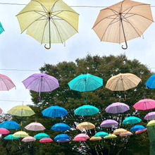 10/18〜20開催【ロハスフェスタTOKYO2024】へ行ってきました♪