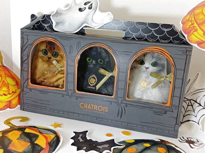ハロウィンにいかが?猫モチーフに胸キュン♡ご褒美スイーツで楽しむハロウィン!